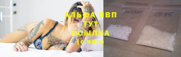 шишки Осташков