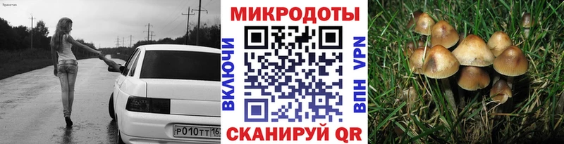 MEGA зеркало  Покров  Галлюциногенные грибы Magic Shrooms 